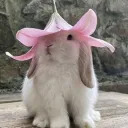 ୨୧　˙ fluffcub　⊹