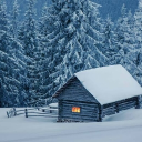 ❄Winter's World ❄