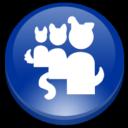 Server Icon