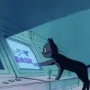 ₊˚⊹ Lofi Lounge ☕₊˚