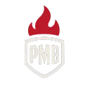🏆 PROMATCH BRASIL