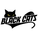 BLACK CATS