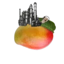 MANGO COMPANY