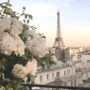 𝐹𝑎𝑖𝑟𝑦 𝑊𝑜𝑟𝑙𝑑 15 +