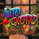Auto Exotic | NoFace FA