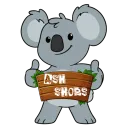 「🐨」ASH SHOP