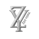 Zoo York RP RBX