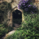 Ꭲꮋꭼ Ꮪꭼꮯꭱꭼꭲ Ꮐꭺꭱꭰꭼⲛꄗ ²¹+ Discord server icon