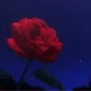 🌹𝑻𝒉𝒆 𝑹𝒆𝒂𝒍𝒎 𝒐𝒇 𝑹𝒐𝒔𝒆𝒔🌹