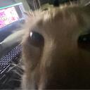   KITTY PALACE   Discord Server Icon