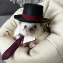 Hot Diggity Hog!