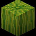 MELON MC DISCORD