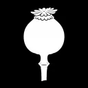 Official Opium Client
