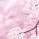 ✧ 𝕍𝕚𝕤𝕚𝕠𝕟𝕒𝕣𝕪 𝕍𝕒𝕝𝕝𝕖𝕪 ✧ Discord server icon