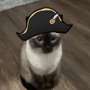 CountrycatDex Centre