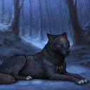 Giving Hope - Wolvden Server