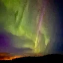 Norse Dragon Realm