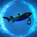 Shark Conservation