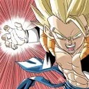 REALGOGETAS COMMUNITY
