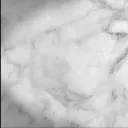 𝓝𝓲𝓬𝓸 Discord Server Icon