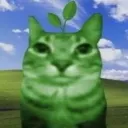 plant's stuff