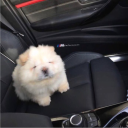 invite rival kingdom