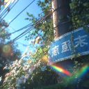 The Puppy Valley🐶 Discord server icon