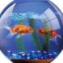 𖦹°‧🪟 PLACEHOLDER 💿𖦹°‧ Discord server icon