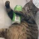 Плакал Когда Какал   qUEEN   hyp2x Discord server icon