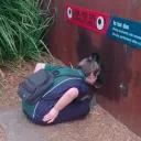 Life Kagami Akane ʎǝlɐɥʎǝɥʎǝɥ Discord server icon