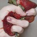 𝜗𝜚⊹₊ ⋆ bloodberry garden