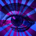 EchoVerse