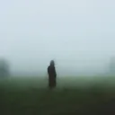 /stalks