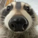 La madriguera🖤🦝