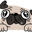 Puggo’s Basement