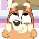 Bingo Fans :3