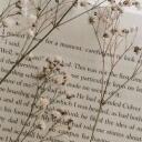 The Reading Nook