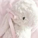 ⊹ ˖ Ი𐑼 cozy bunnies