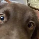 الموت البطيء Discord Server Icon