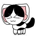Cat Universe