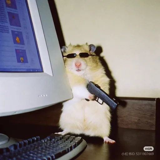 🍀ꜰꜰʟ 🐐 — мониторинг Discord сервера, статистика и рейтинг