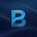 bardhzzy services