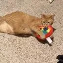 eh o theo Face MrPato Discord Server Icon