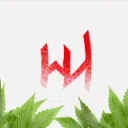 🚀・WASTED HELL