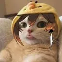 booran Shibii Shinobi Discord Server Icon