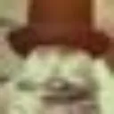 Zov