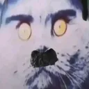 жирнейший