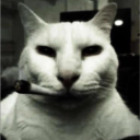 2004 craft Discord server icon