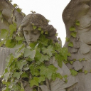 Metaphyta ⍋𓍊𓋼 Discord server icon