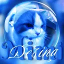 Mimchi Design